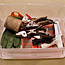 Wreath-Making Kit