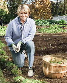 Fall Garden Cleanup