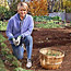 Fall Garden Cleanup