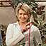 Ficus Care