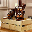Chocolate Rabbits