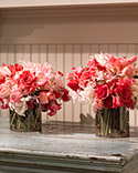 Flower Color Palette
