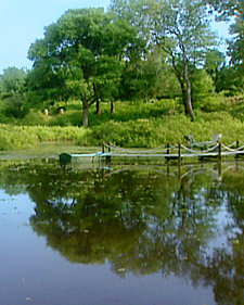 Shelter Island Garden with Leeza and Dale