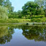 Shelter Island Garden