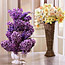 Spring Arrangement