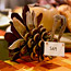 Pinecone Turkey