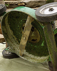 Fall Mower Care
