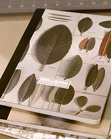 Customizing a Journal