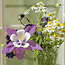 Small Arrangements