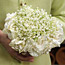 Wedding Bouquet