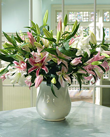 Lily Arrangement