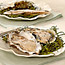 Oysters 101