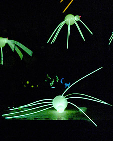 Glow-Stick Spider