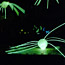 Glow-Stick Spider