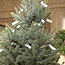 Tabletop Christmas Tree