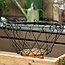 Hanging Basket