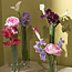 Flower Arrangements