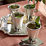 Seventeen-Lemon Mint Julep