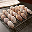 Honey Madeleines