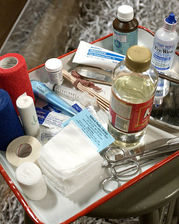 Pet First Aid