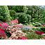 Henriette Suhr's Garden