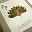 Leaf Collage