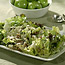 Fennel, Apple, and Blue Cheese Salad