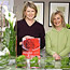 Winter Arrangements 