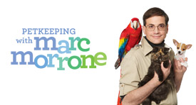 Petkeeping with Marc Morrone