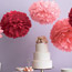 Camellia
