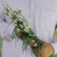 Garlic chives: Allium tuberosum