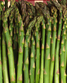 Asparagus: Asparagus officinalis Mary Washington