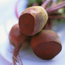 Beet: Beta vulgaris ssp. vulgaris Early Wonder