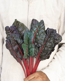 Swiss chard: Beta vulgaris Rhubarb