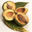 Shagbark hickory: Carya ovata