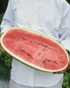 Watermelon: Citrullus lanatus Carolina Cross No. 183