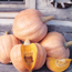 Pumpkin: Cucurbita maxima Amish Pie