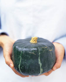Winter squash: Cucurbita maxima Buttercup