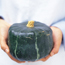Winter squash: Cucurbita maxima Buttercup