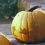Pumpkin: Cucurbita maxima Connecticut Field