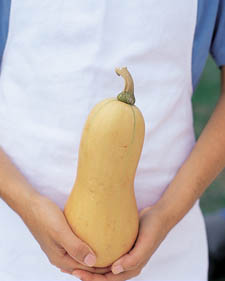 Winter squash: Cucurbita moschata Burpee's Butterbush