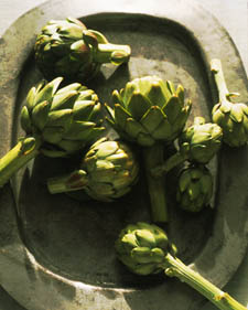 Artichoke: Cynara scolymus