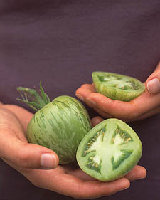 Tomato: Lycopersicon esculentum Green Zebra