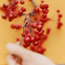 Flowering crabapple: Malus Beverly