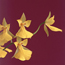 Orchid: Oncidium concolor