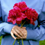 Herbaceous peony: Paeonia Edulis Superba
