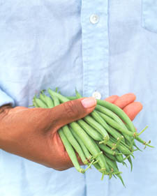 Bush bean: Phaseolus vulgaris Blue Lake 274