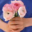 Ranunculus asiaticus