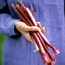 Rhubarb