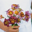 Painted tongue: Salpiglossis sinuata